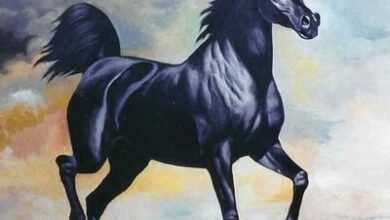 news image 1767097440950