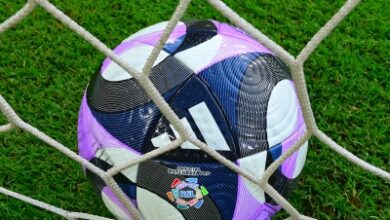 news image 1767256417091