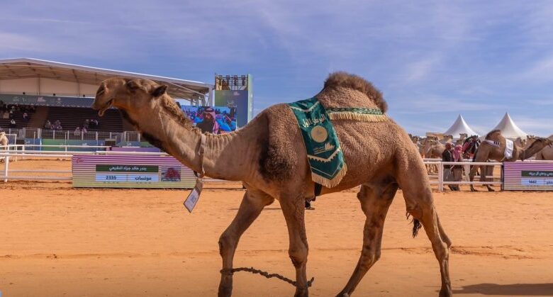 news image 1768574650691