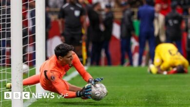 news image 1768686542482