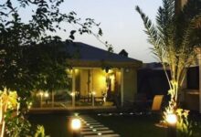 news image 1768766664676