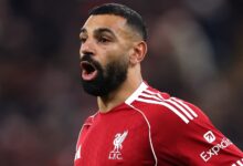 news image 1768913647946