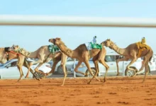 news image 1768991147774