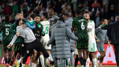 news image 1769112231564