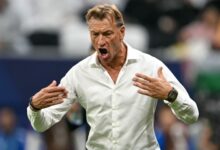 news image 1769173446192