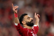 news image 1769301046237