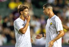 news image 1769434278817