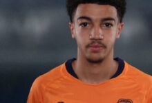 news image 1769852407933