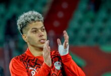 news image 1769858530615