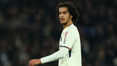 news image 1769877065495