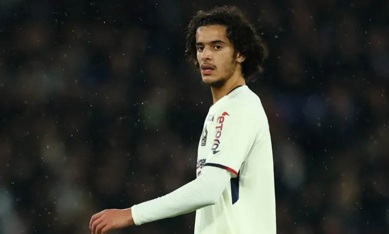 news image 1769877065495