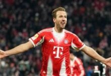 news image 1770822248728