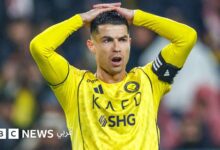 news image 1770823043310